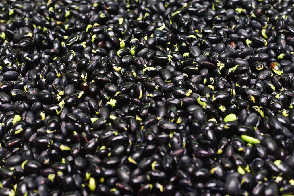 Black Beans On Keto