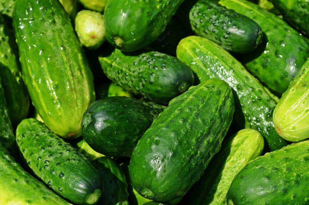 Cucumbers On Keto